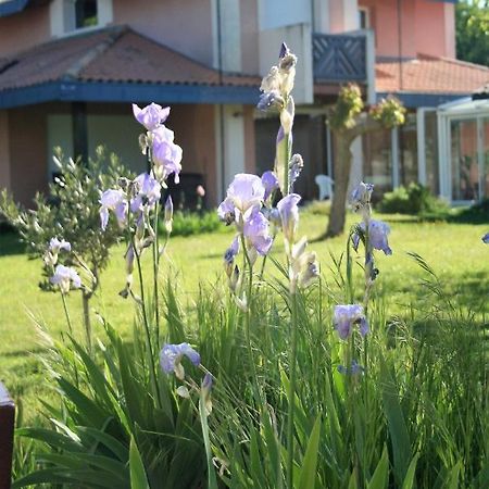 Villa Helianthe Audenge Exterior photo