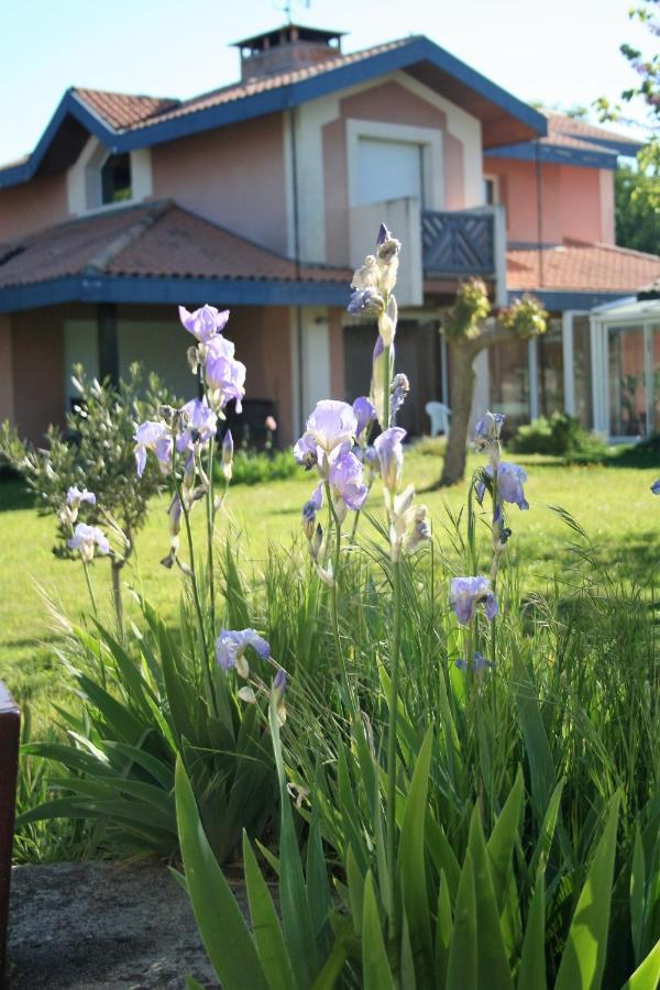Villa Helianthe Audenge Exterior photo